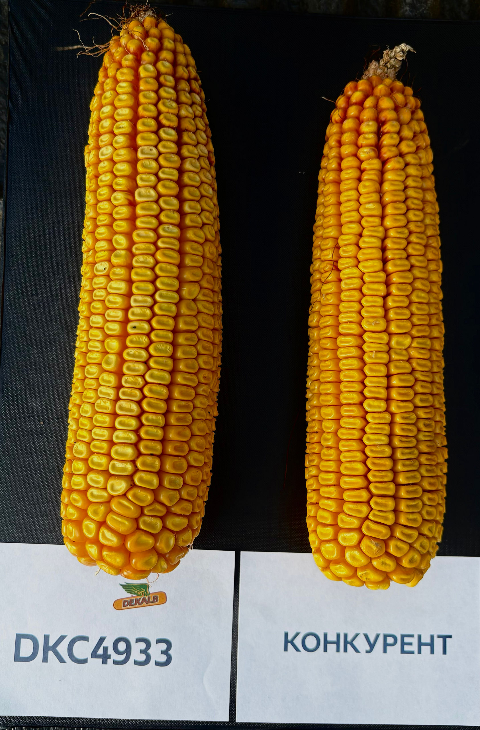 DKC4933